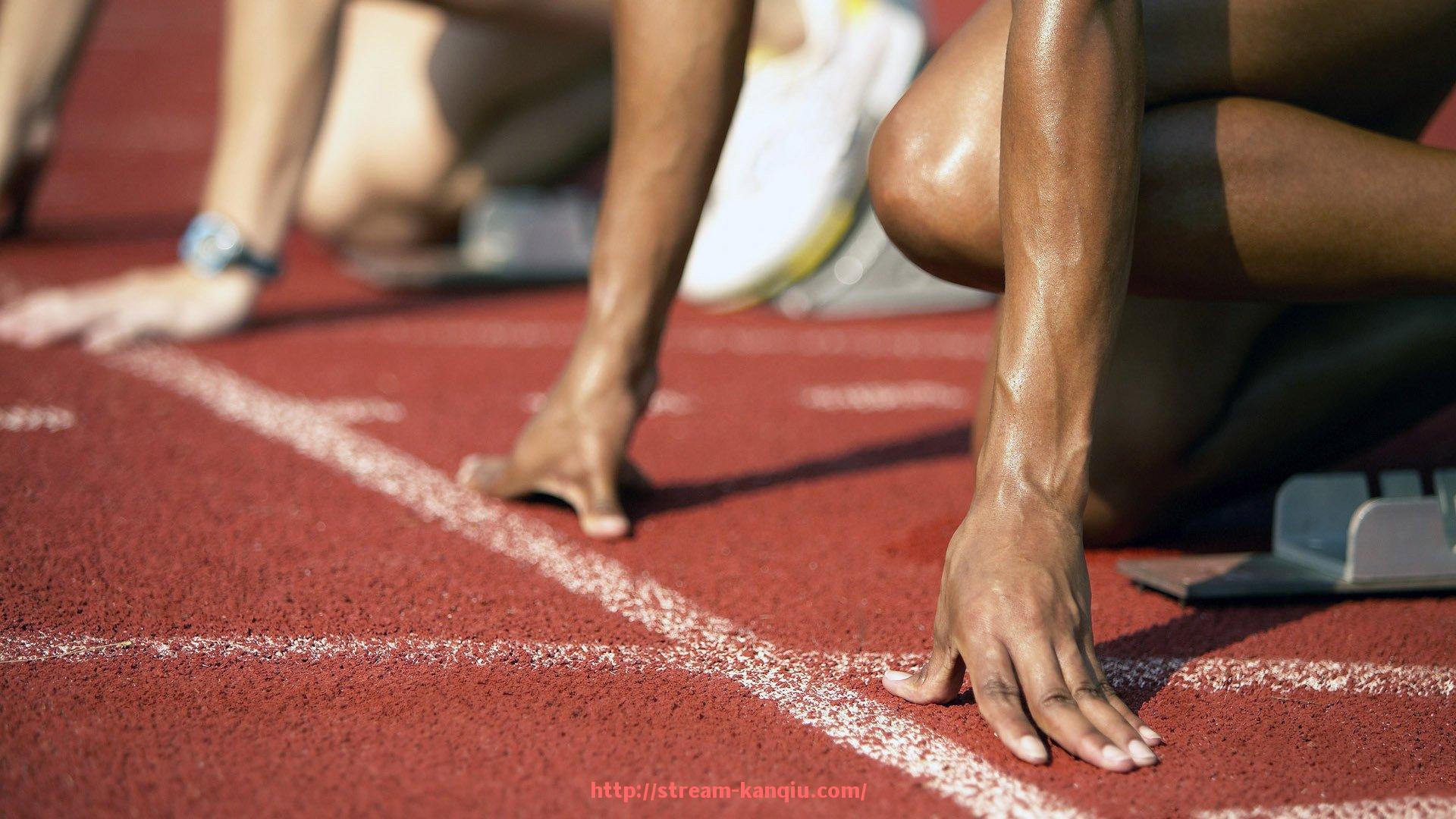 看球直播-利物浦世俱杯球迷论坛互动及热点话题汇总